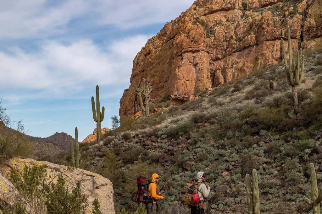 two people hiking in a desert looking landscape with cacti and rugged mountains in the background