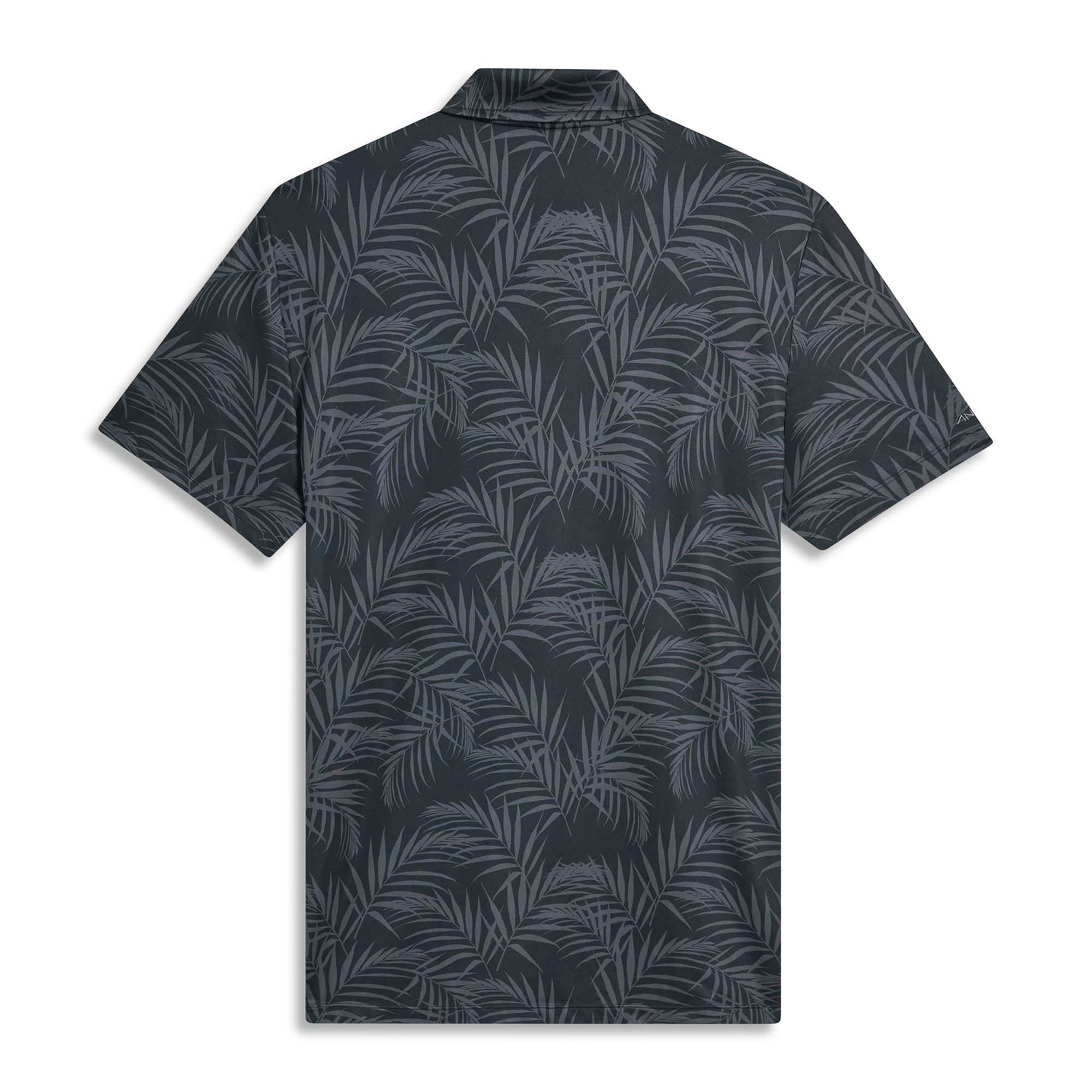 PALMS BLACK