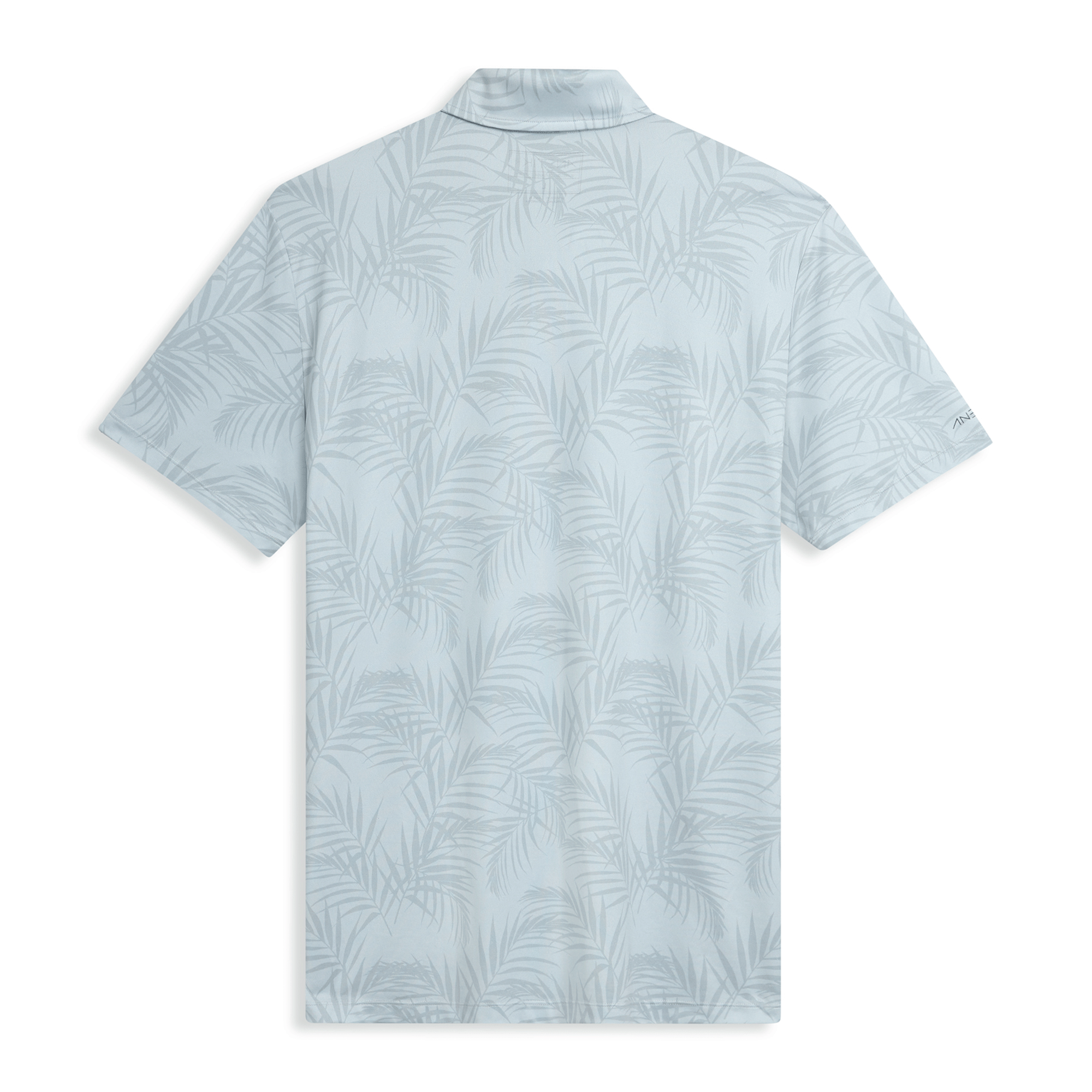 PALMS SILVER