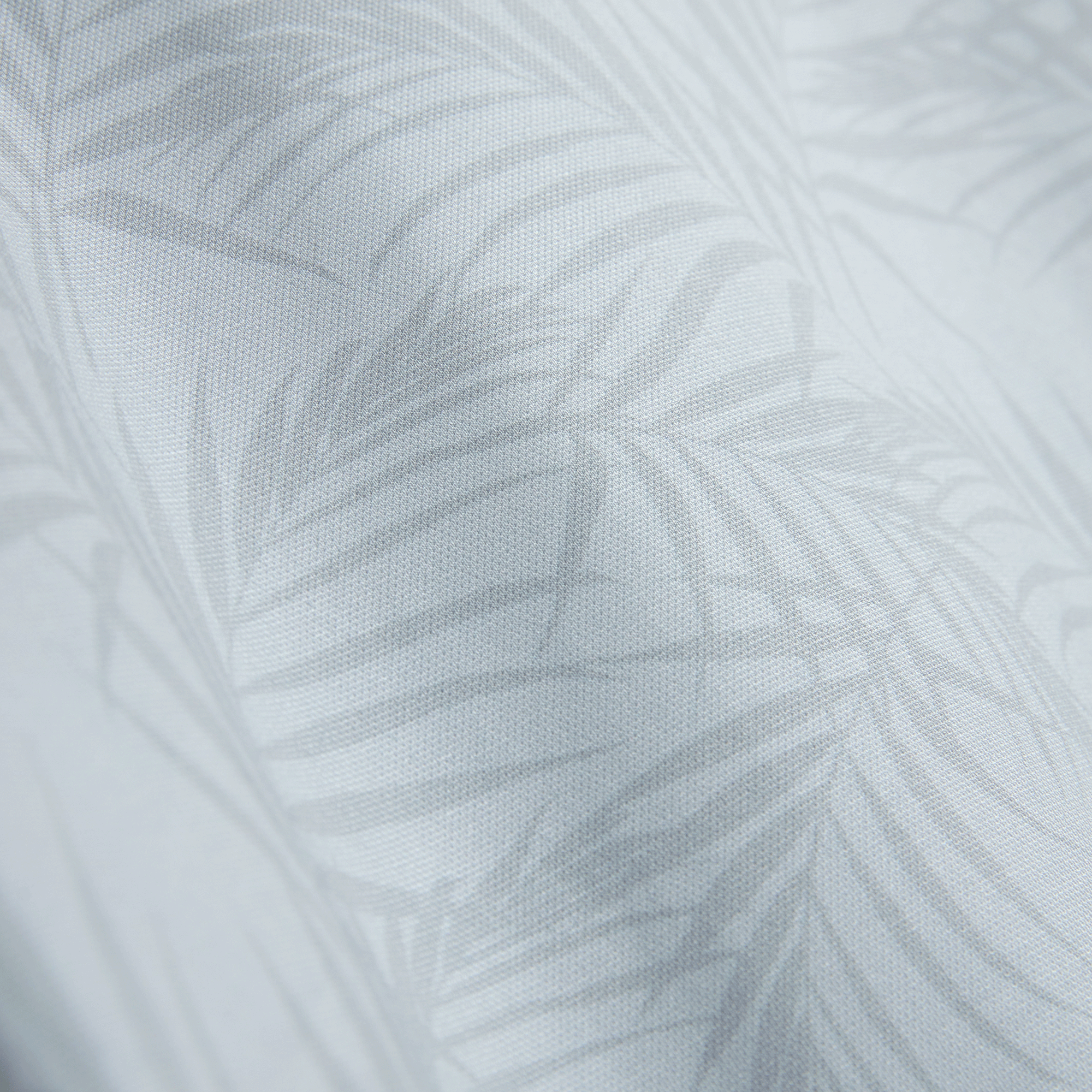 PALMS SILVER