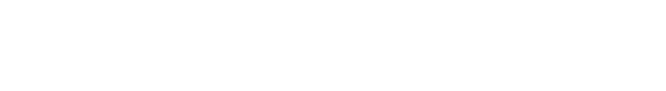 anetik logo