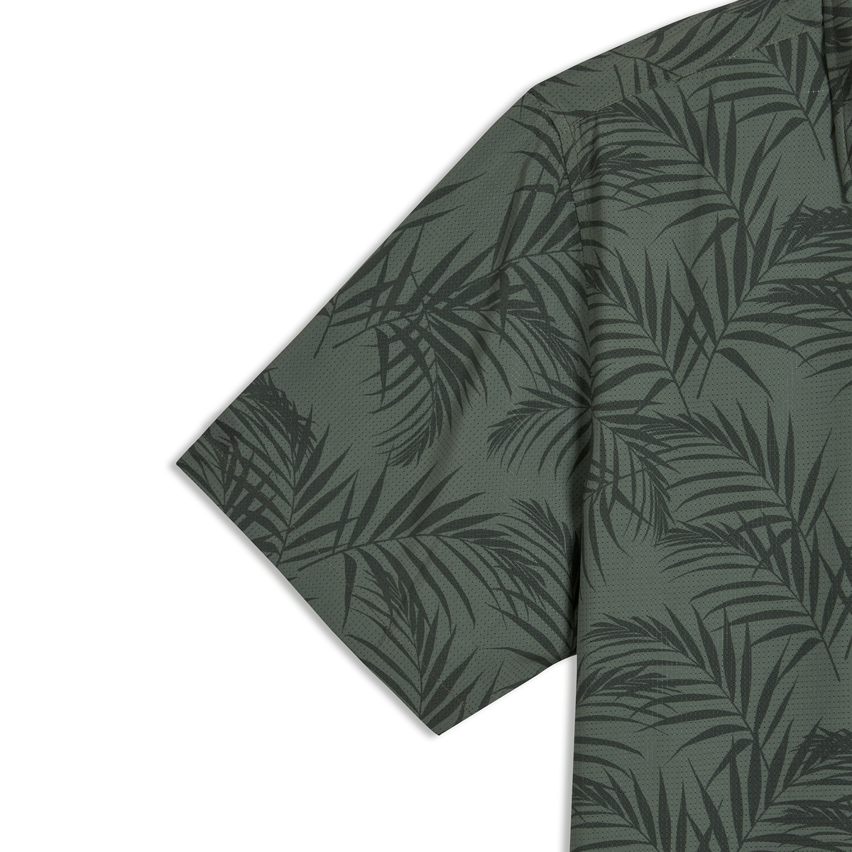 PALMS DARK OLIVE