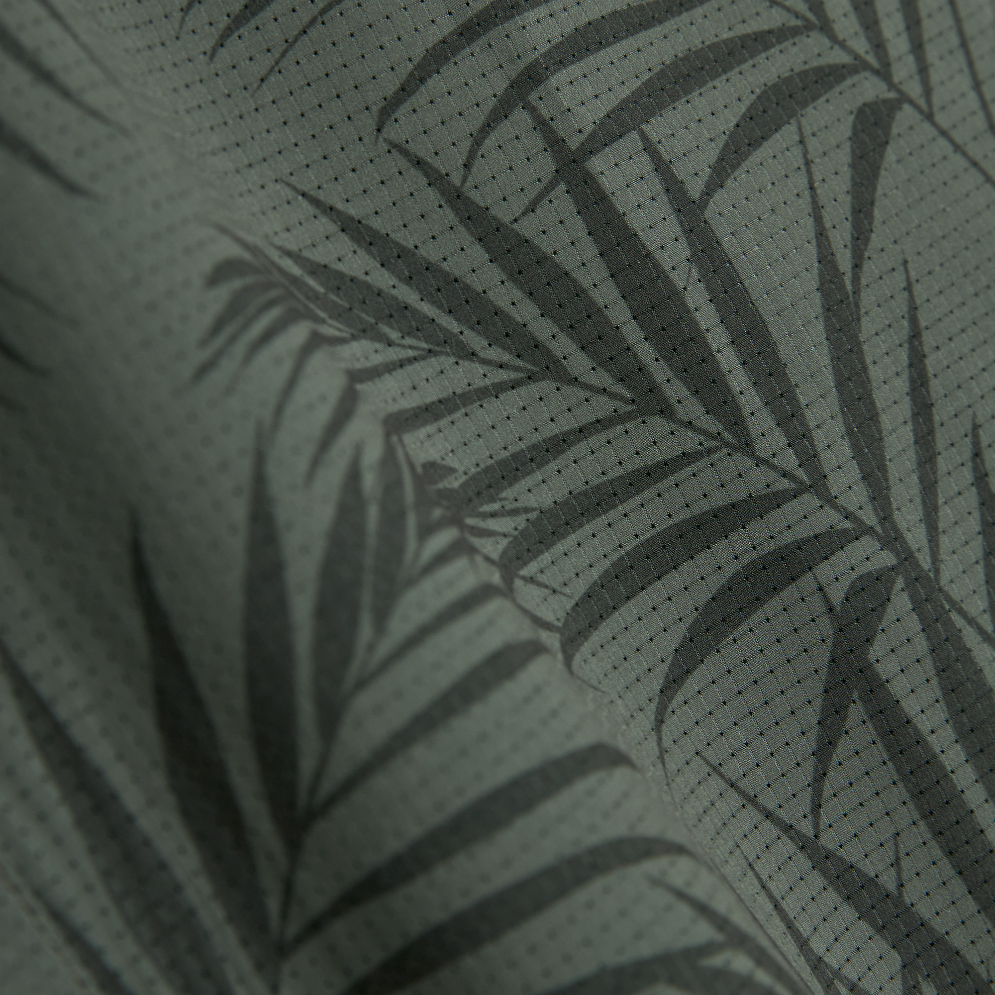 PALMS DARK OLIVE