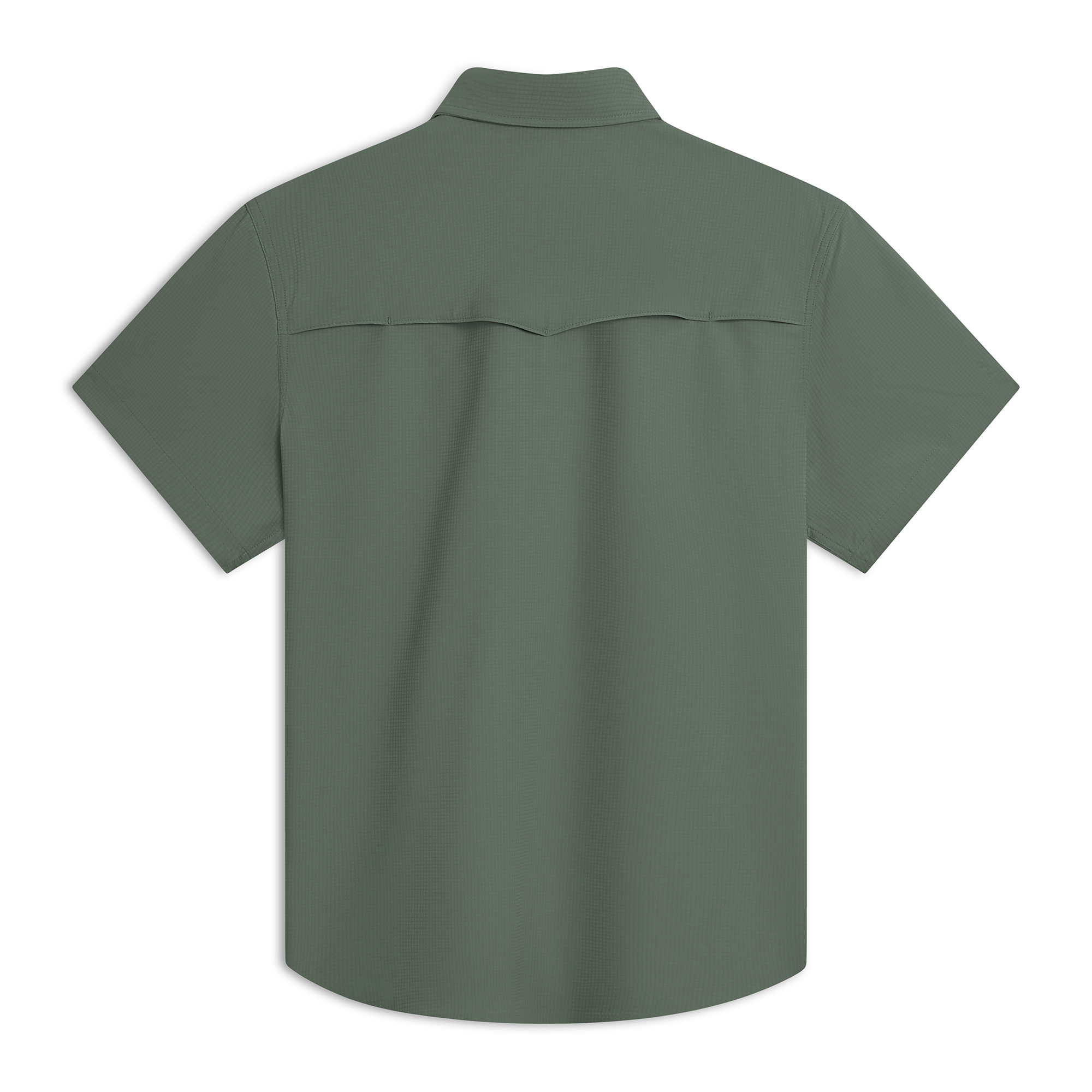 DARK OLIVE